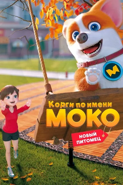 Постер Корги по имени Моко. Новый питомец